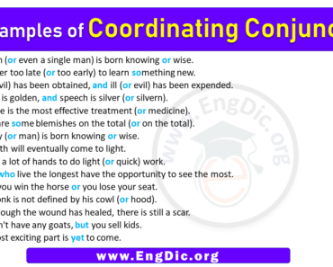 15 Examples of Coordinating Conjunctions in Sentences
