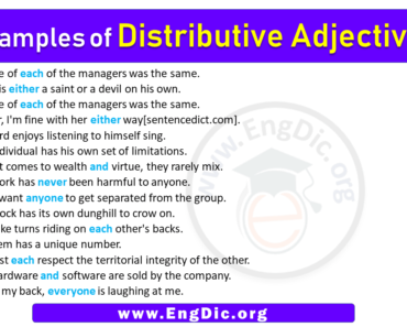 15 Examples of Distributive Adjectives in Sentences