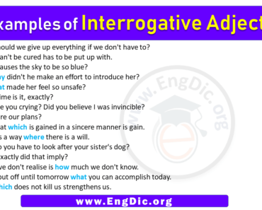 15 Examples of Interrogative Adjectives in Sentences