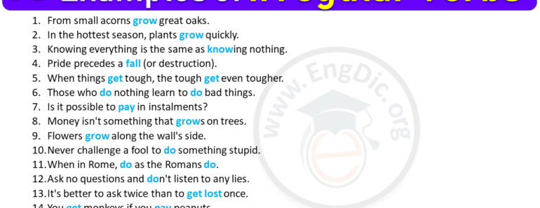 15 Examples of Irregular Verbs in Sentences