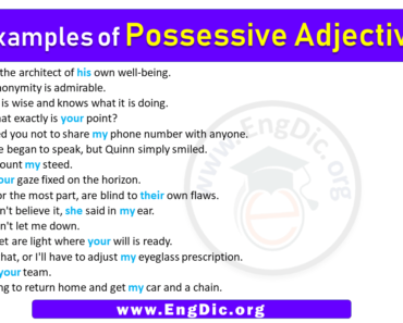 15 Examples of Possessive Adjectives