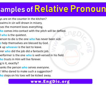 15 Examples of Relative Pronouns in Sentences
