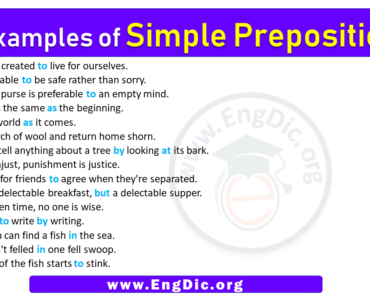 15 Examples of Simple Prepositions in Sentences