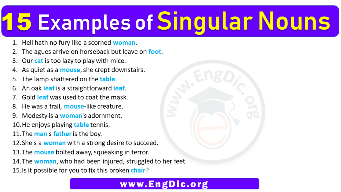 15 Examples of Singular Nouns in Sentences – EngDic