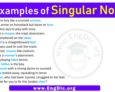 15 Examples of Singular Nouns in Sentences