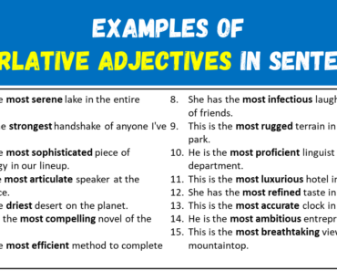 15 Examples of Superlative Adjectives in Sentences