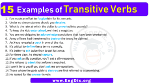 15 Examples of Transitive Verbs in Sentences - EngDic