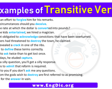 15 Examples of Transitive Verbs in Sentences