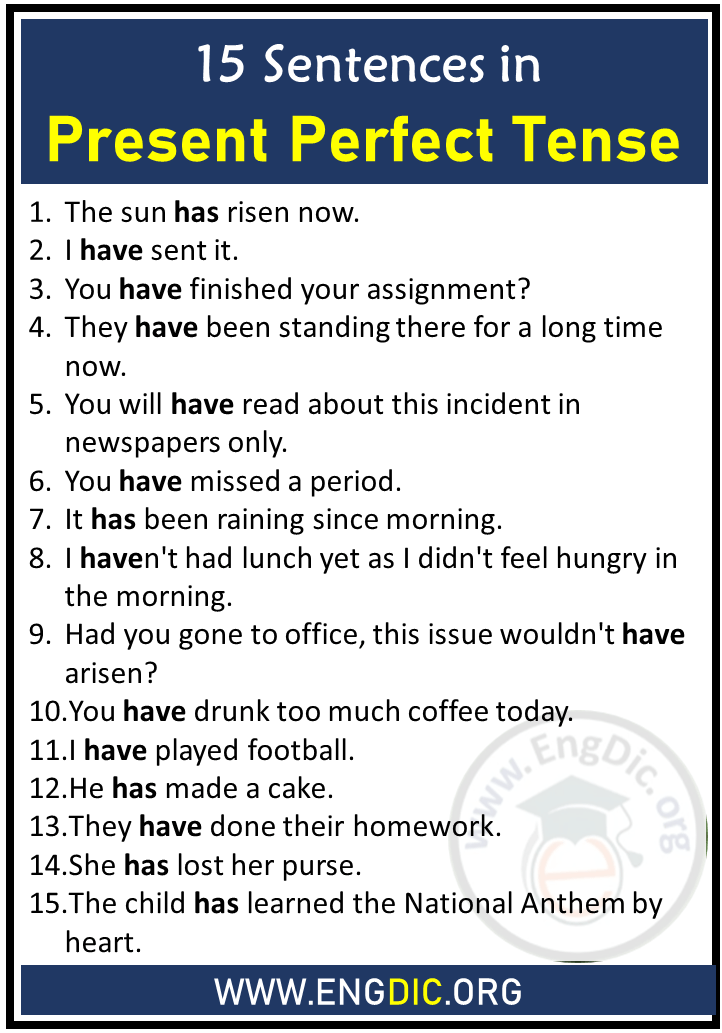 15 sentences in present perfect tense