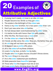 20 Example of Attributive adjectives in Sentences