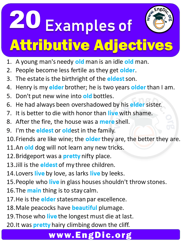 20 Examples Of Attributive Adjectives In Sentences EngDic