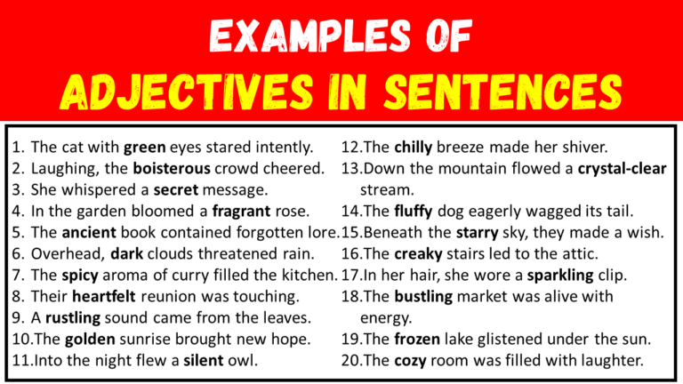 20 Examples of Adjectives in Sentences - EngDic