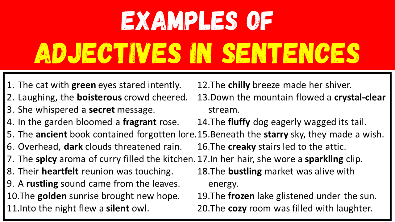 20 Examples of Adjectives in Sentences