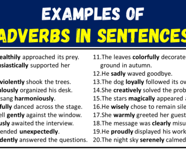 20 Examples of Adverbs in Sentences
