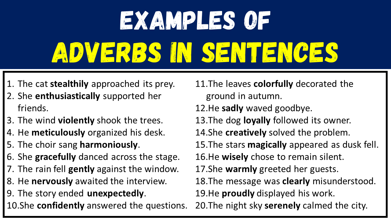 20 Examples of Adverbs in Sentences
