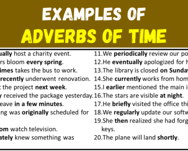 20 Examples of Adverbs of Time in Sentences
