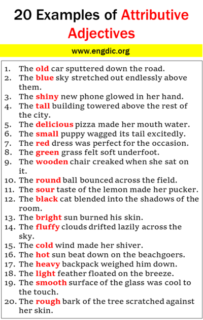 20 Examples Of Attributive Adjectives In Sentences Engdic 