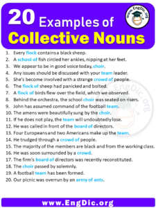 20 Examples of Collective Nouns in Sentences