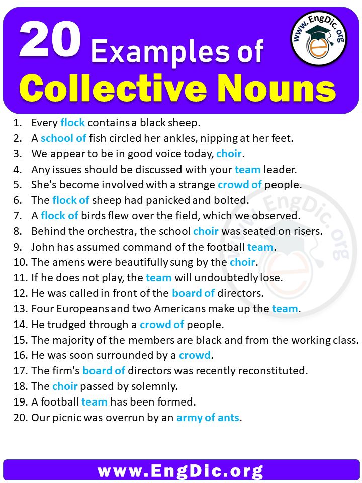 20 Examples Of Collective Nouns In Sentences