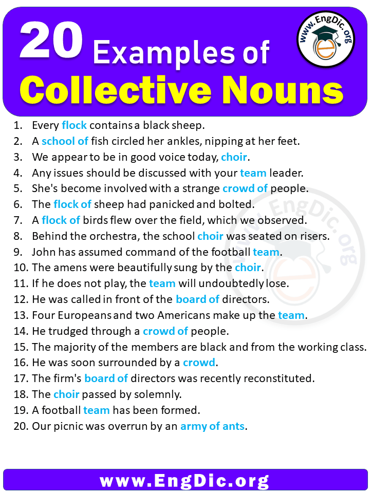 20 Examples Of Collective Nouns In Sentences Meaning EngDic