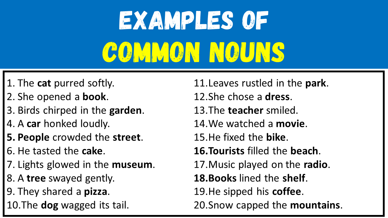 20 Examples of Common Nouns in Sentences