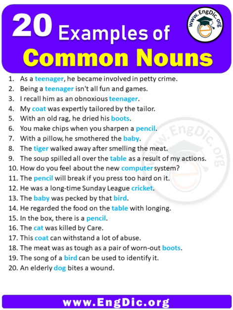 What Are Some Examples Of Common Nouns In Sentences