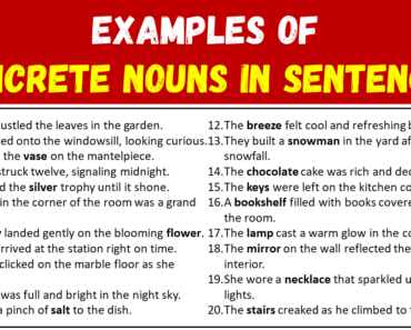 20 Examples of Concrete Nouns in Sentences