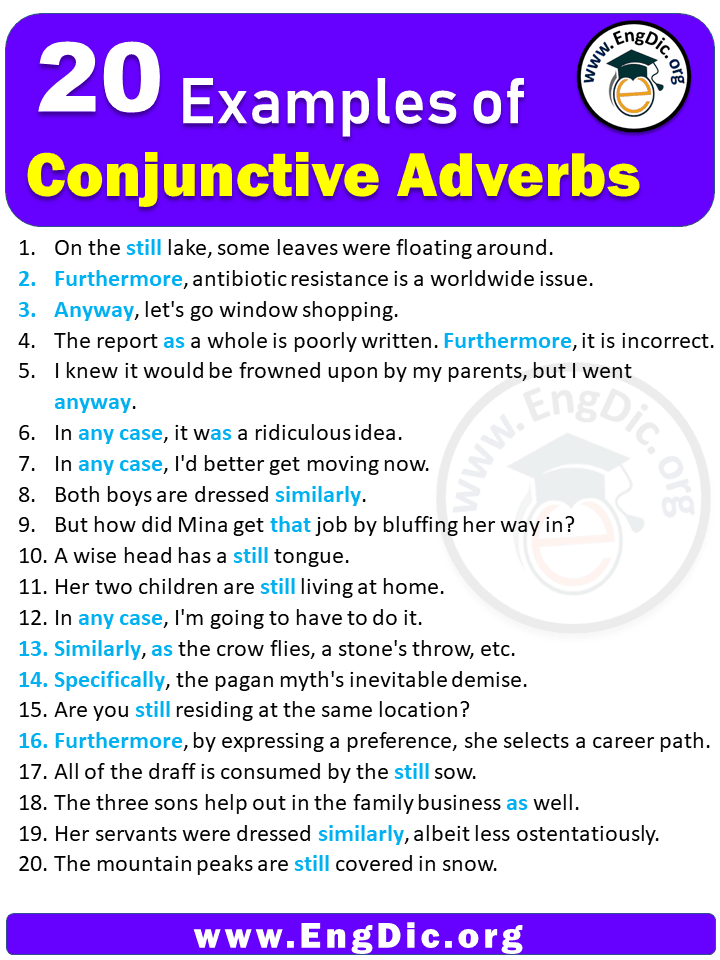 20 Examples of Conjunctive Adverbs in Sentences