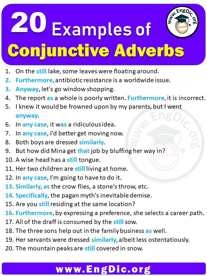 Conjunctive Adverbs Examples In Sentences