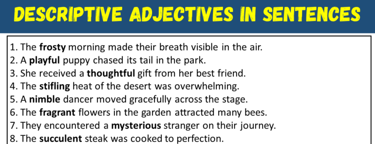 20 Examples of Descriptive Adjectives in Sentences