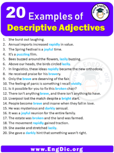 examples of descriptive adjectives in sentences with answers