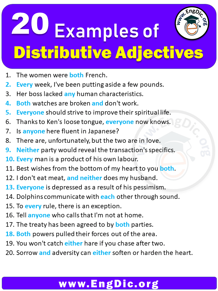 20-examples-of-distributive-adjectives-in-sentences-engdic