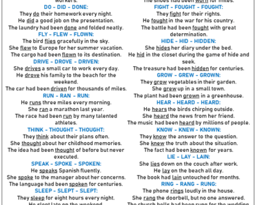 20 Examples of Irregular Verbs in Sentences