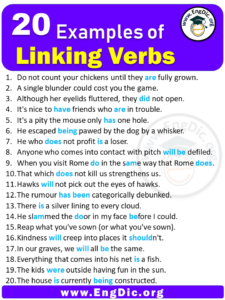 20 Examples of Linking Verbs in Sentences - EngDic