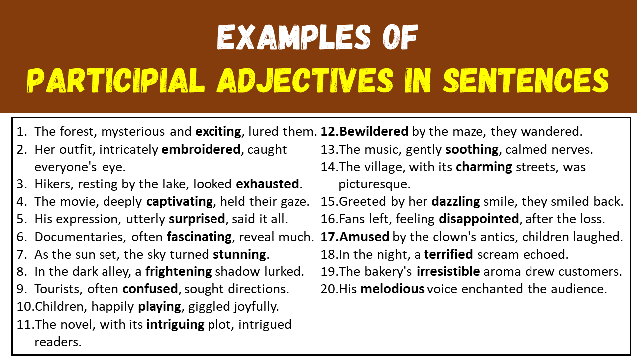 20 Examples of Participial Adjectives in Sentences