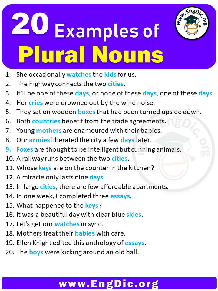 20-examples-of-plural-nouns-in-sentences-engdic