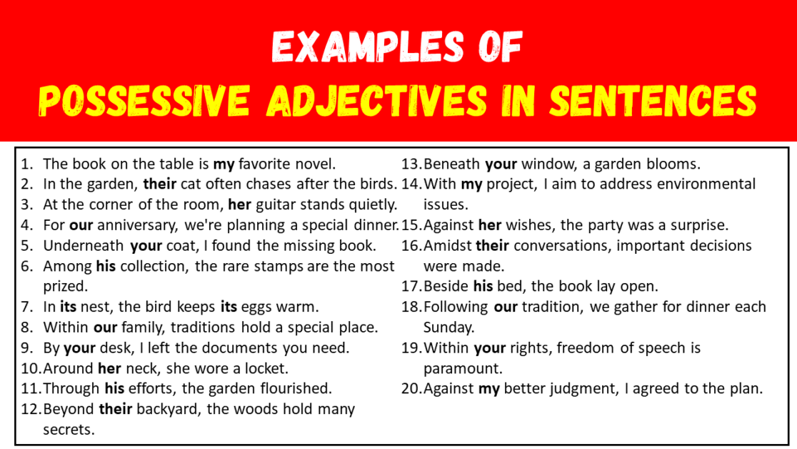 Examples Of Possessive Adjectives In Sentences EngDic