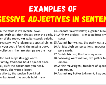 20 Examples of Possessive Adjectives in Sentences