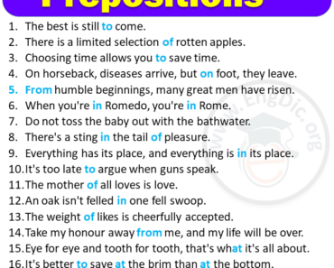 20 Examples of Prepositions in Sentences