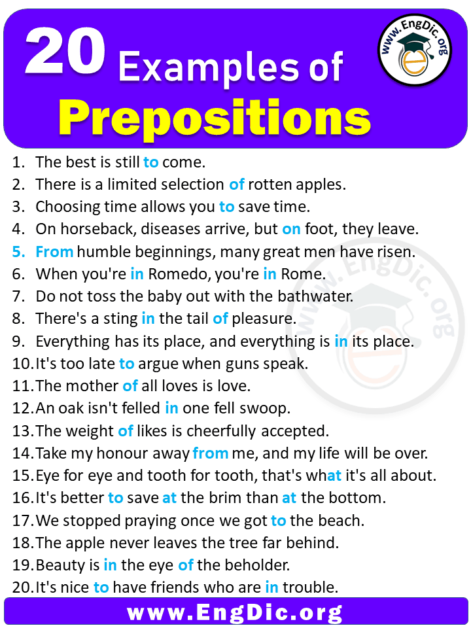 20 Examples of Prepositions in Sentences - EngDic