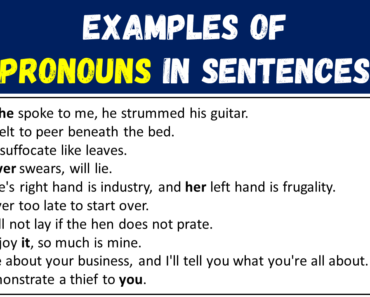 20 Examples of Pronouns in Sentences