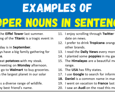 20 Examples of Proper Nouns in Sentences