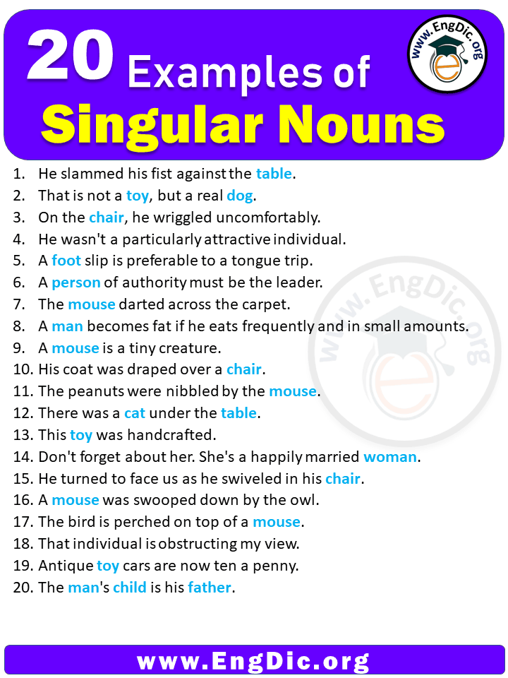 20 Examples of Singular Nouns in Sentences