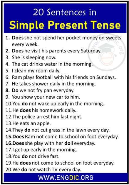 20 Examples of Simple Present Tense Sentences - EngDic