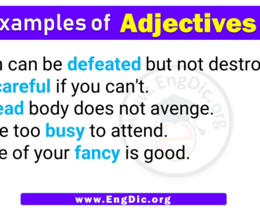 5 Examples of Adjectives in Sentences