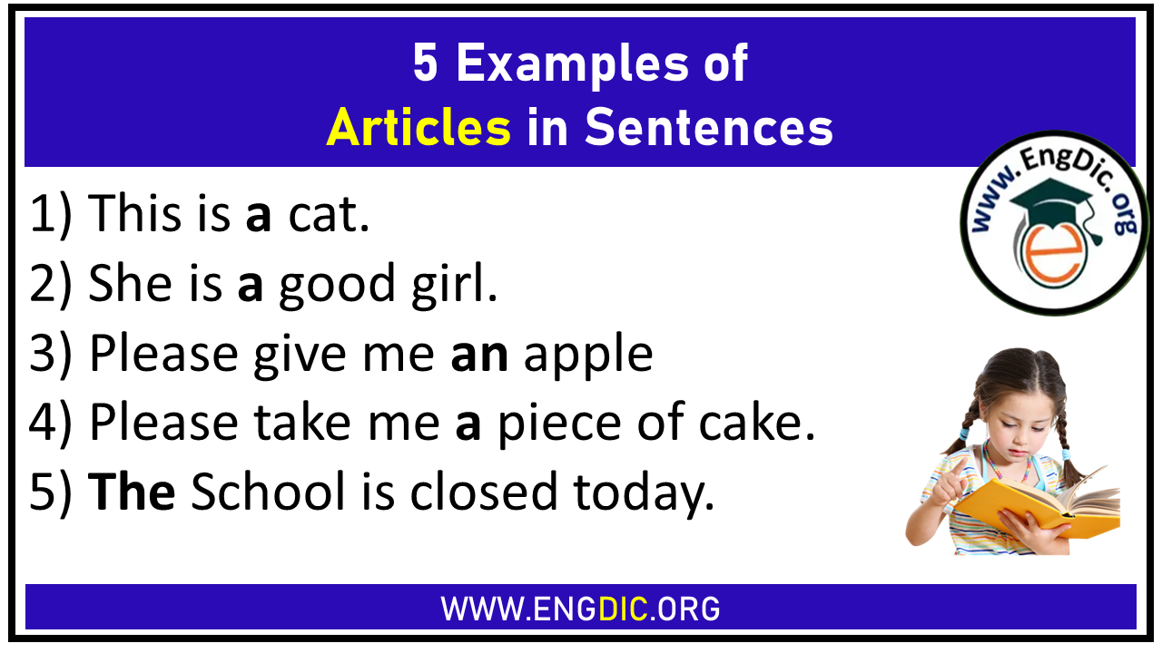 5 Examples of Articles in Sentences (A, An, The)