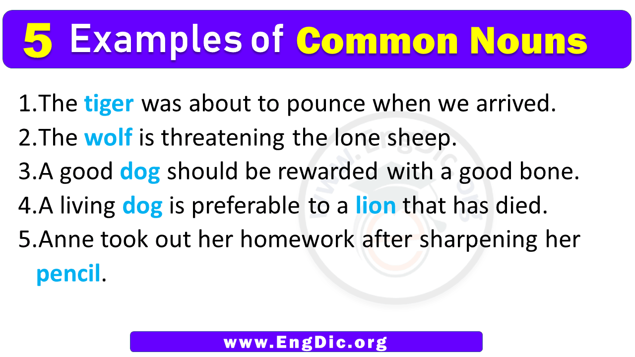 5 Examples of Common nouns in Sentences