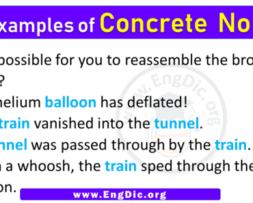5 Examples of Concrete Nouns in Sentences