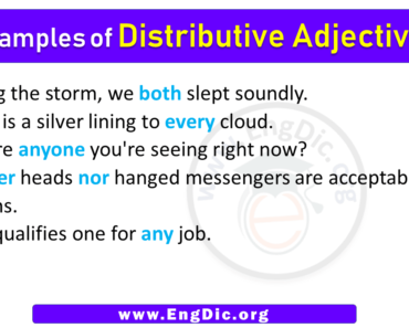 5 Examples of Distributive Adjectives in Sentences