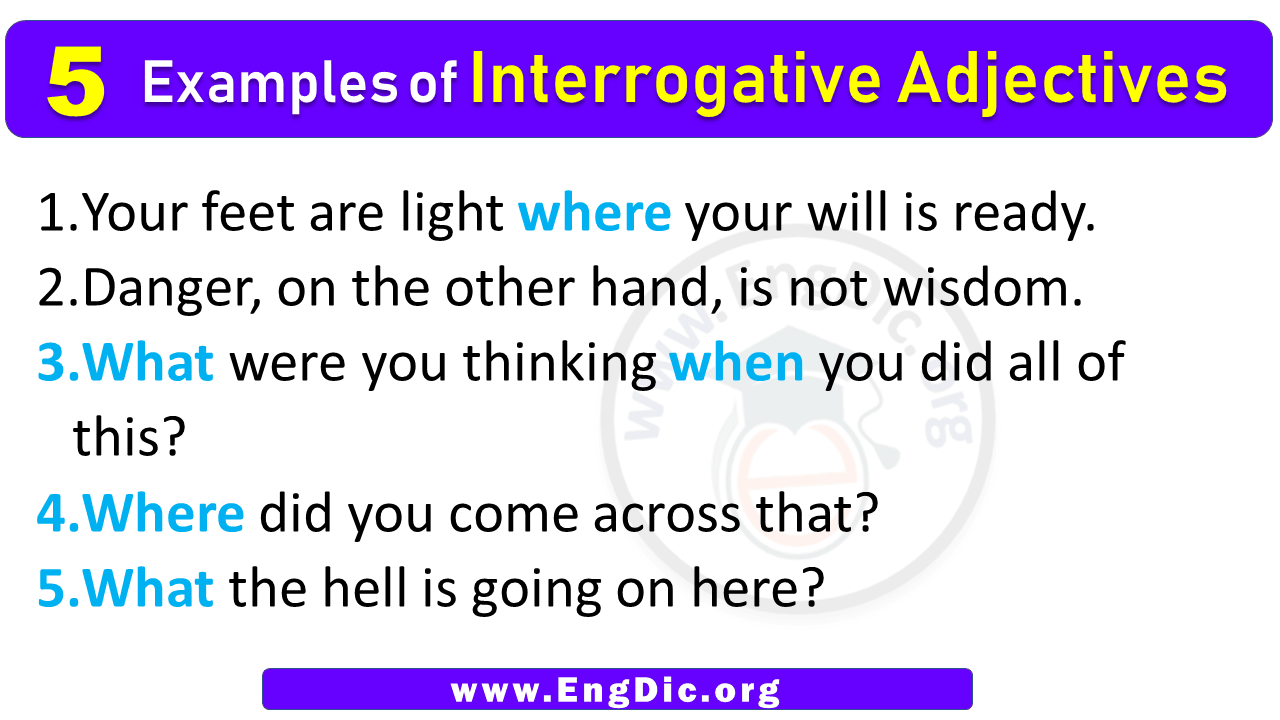 5 Examples of Interrogative Adjectives in Sentences